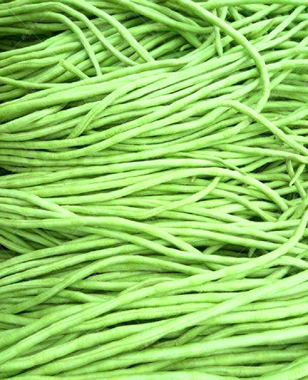 1557990350771014.jpg 55.jpg